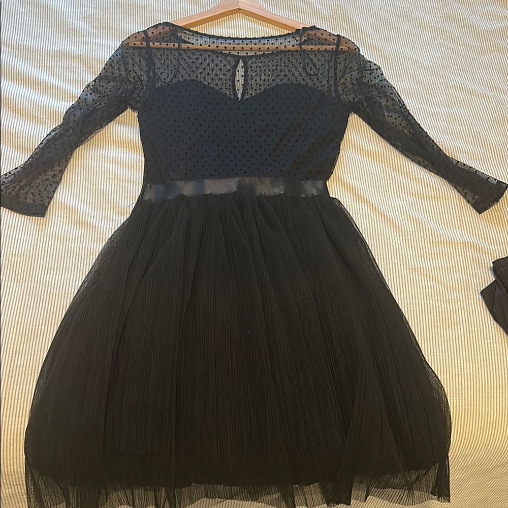 Chic Black Mesh Long Sleeve Dress